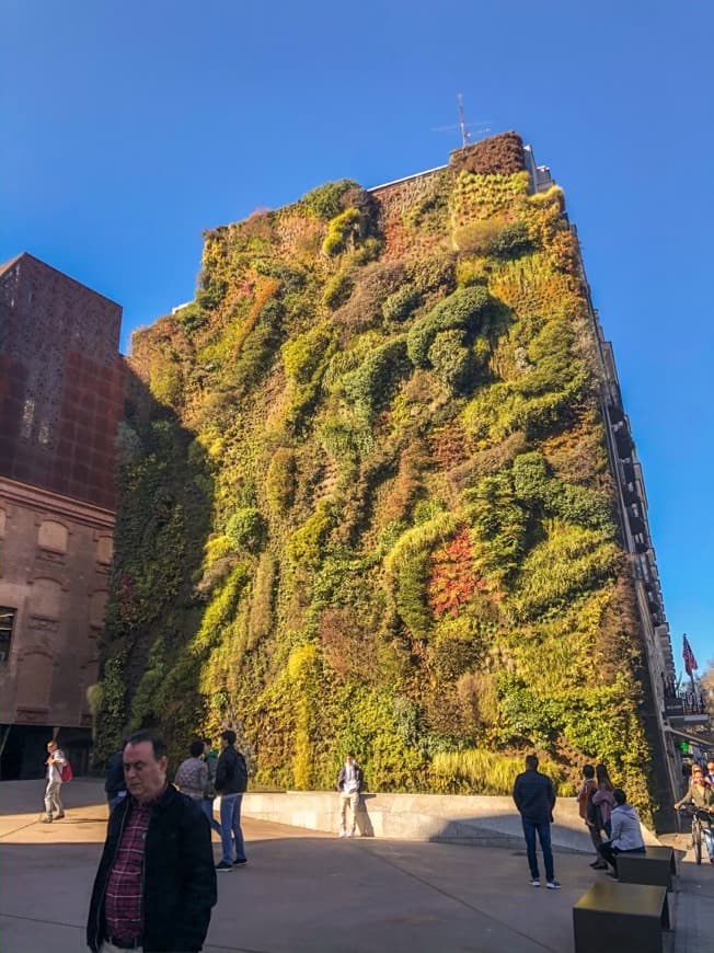 Lugar Jardín Vertical Caixaforum