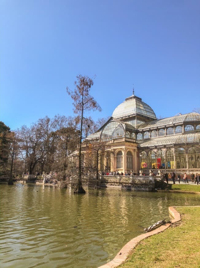 Lugar Palacio de Cristal