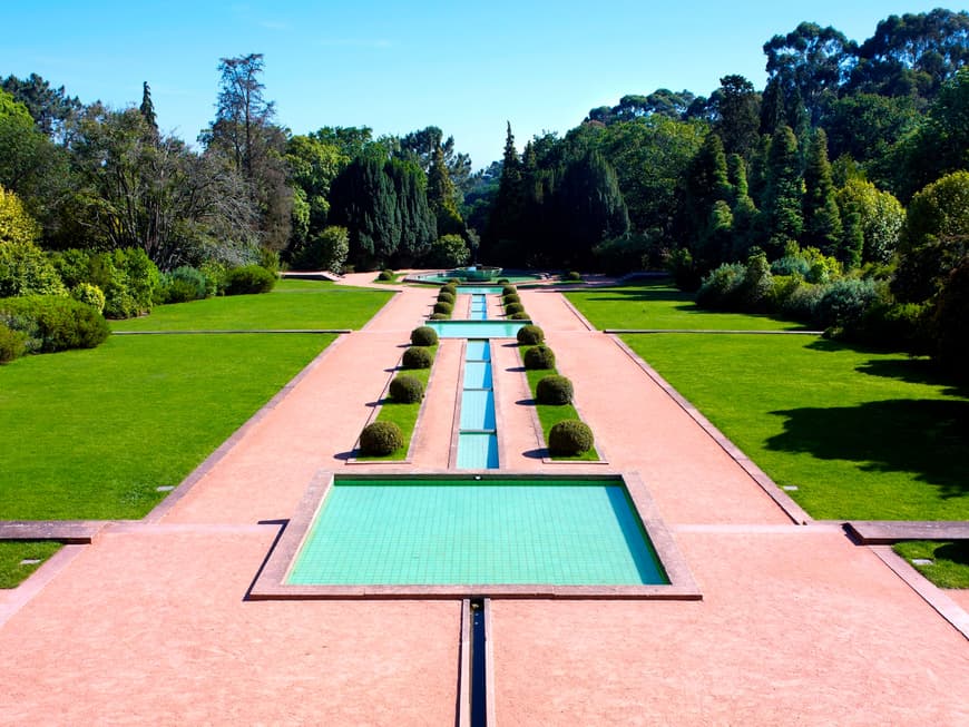 Place Parque de Serralves