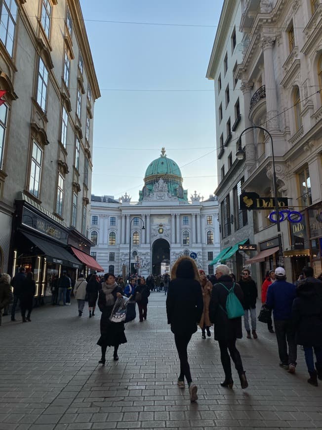 Place Hofburg Palace