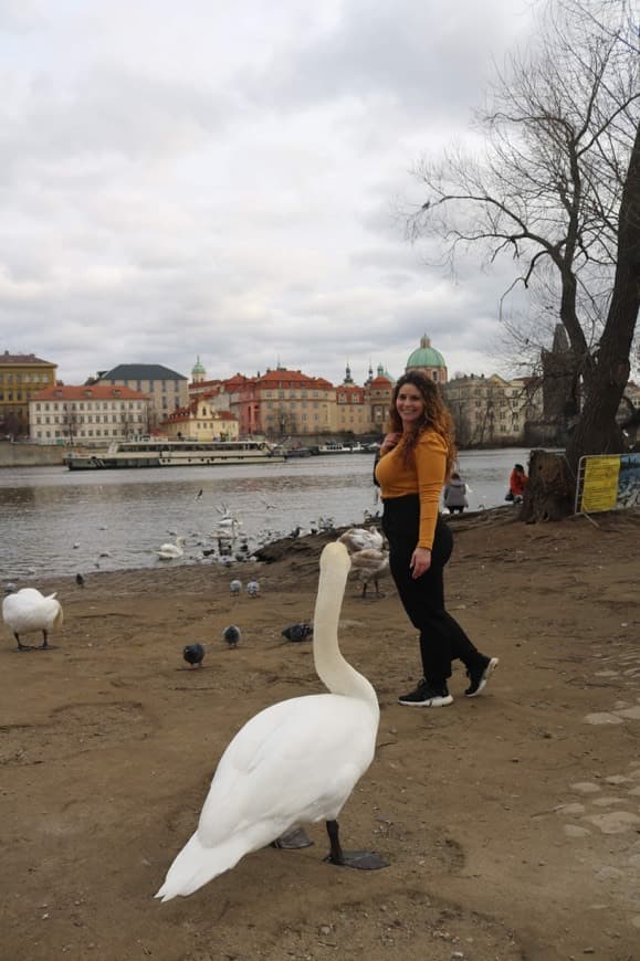 Place Vltava