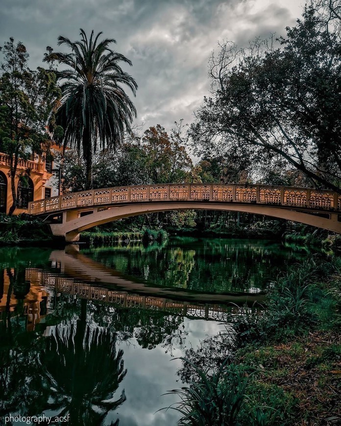 Lugar Parque da Macaca