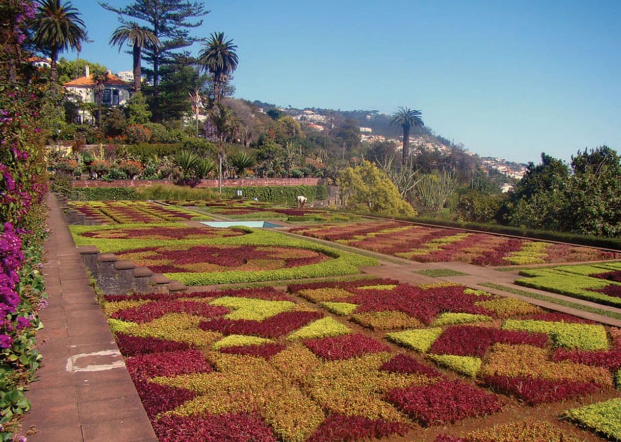 Place Jardín Botánico de Madeira