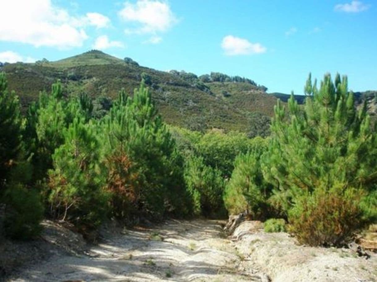 Lugar Tapada Nacional de Mafra