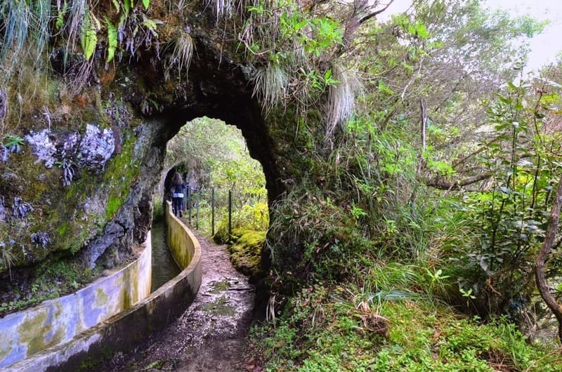 Lugar PR10 Levada do Furado - Ribeiro Frio - Portela