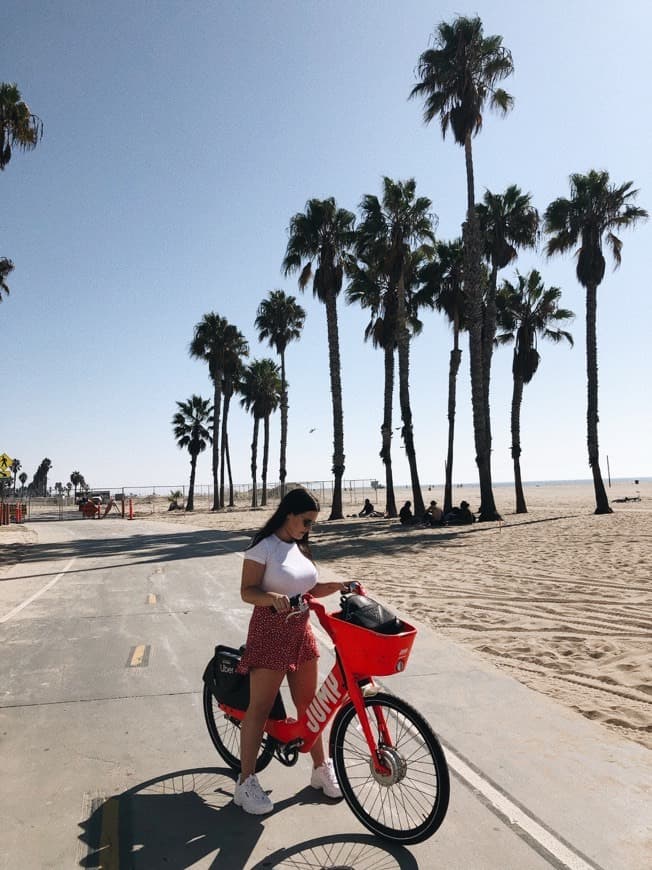 Place Venice Beach Boardwalk