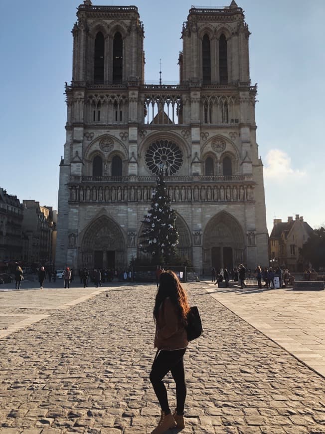 Place Notre Dame