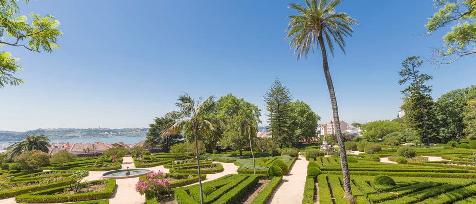 Lugar Jardim Botânico d'Ajuda