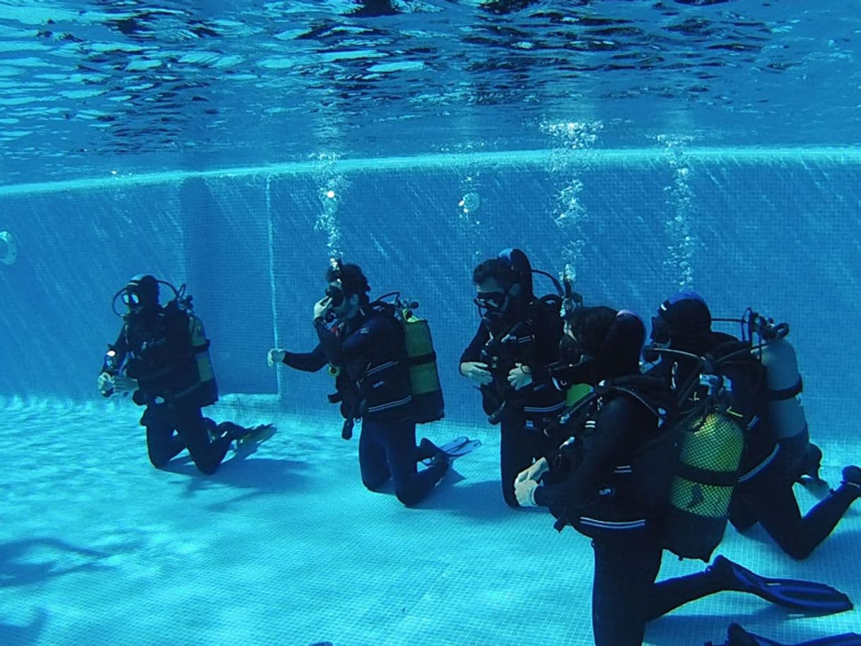 Moda Bautismo de Buceo en Tarifa, Cádiz. PuertoBuceo, Buceo Deportivo ...