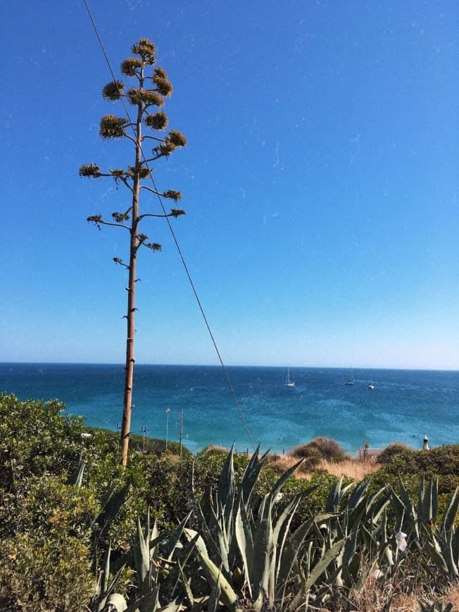 Lugar Praia da Mareta