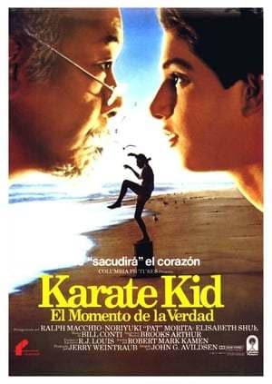 Película The Karate Kid