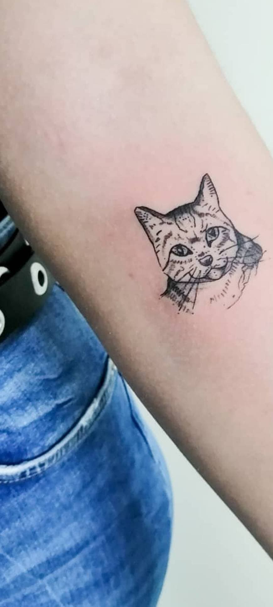 Fashion Minha Tattoo 🐱