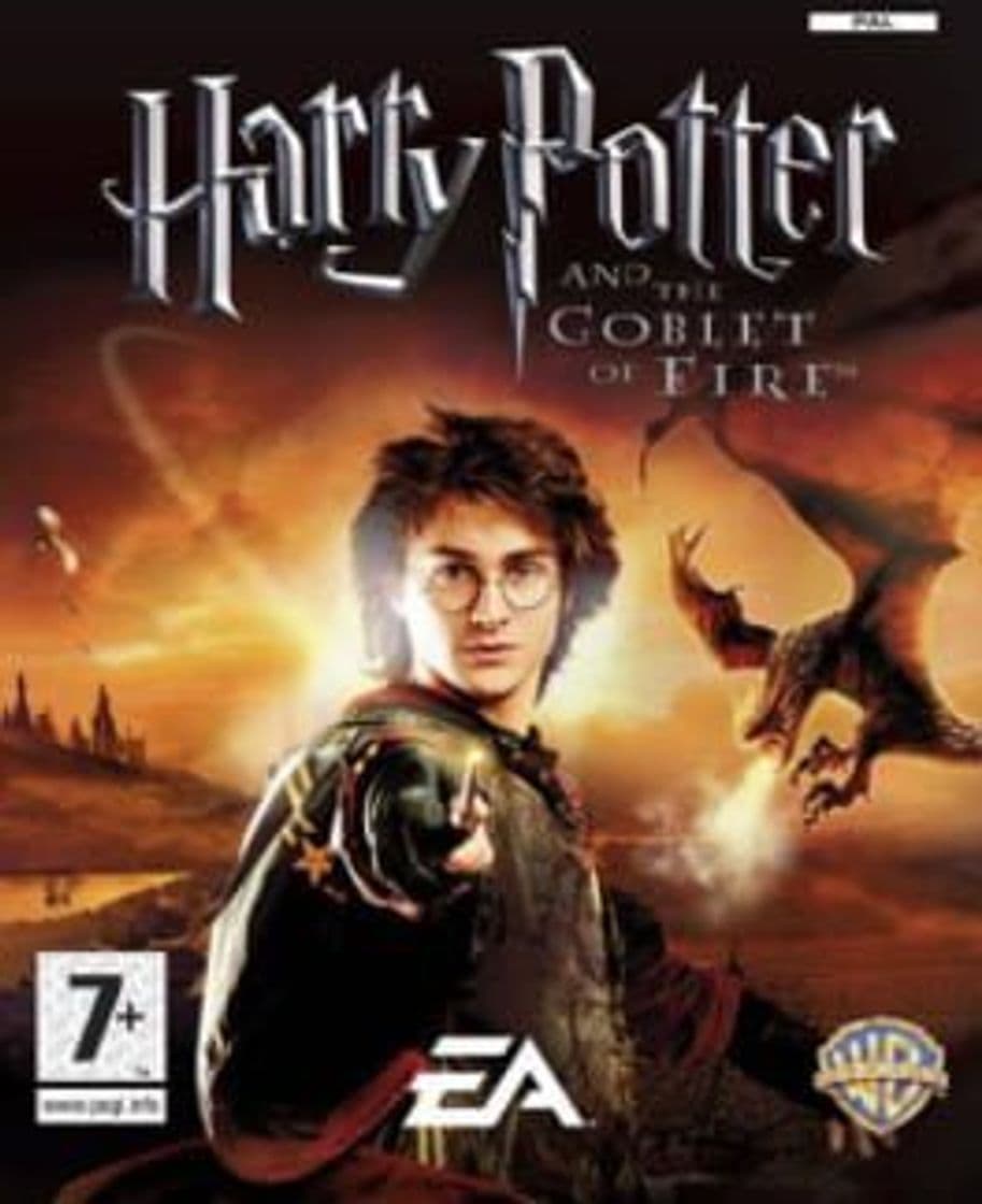 Videogames Harry Potter and the Goblet of Fire