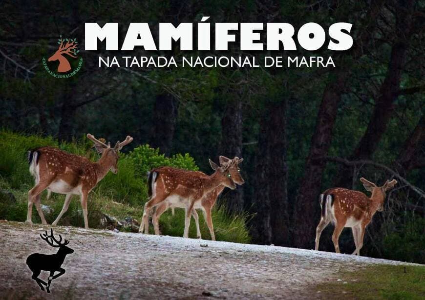 Lugar Tapada Nacional de Mafra