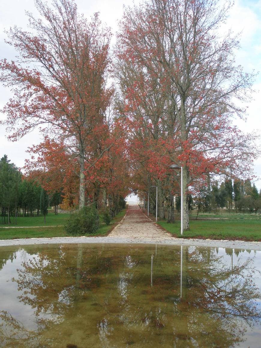 Lugar Parque da Cidade da Mealhada