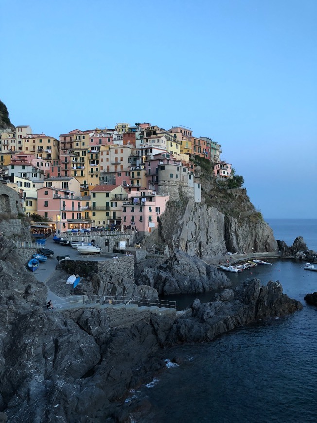 Place Manarola Scenic Viewpoint