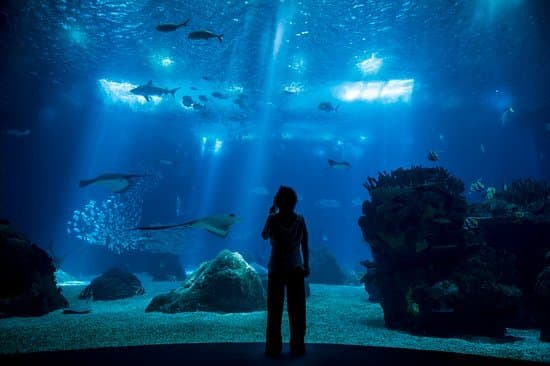 Place Oceanário Lisboa