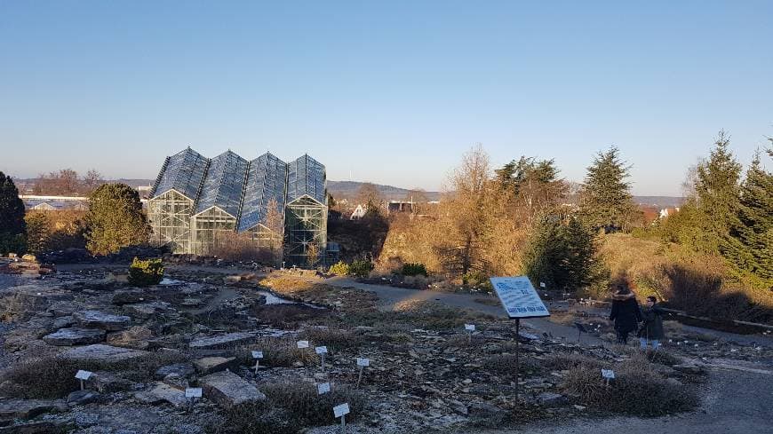 Lugar Jardín Botánico de la Universidad de Osnabrück