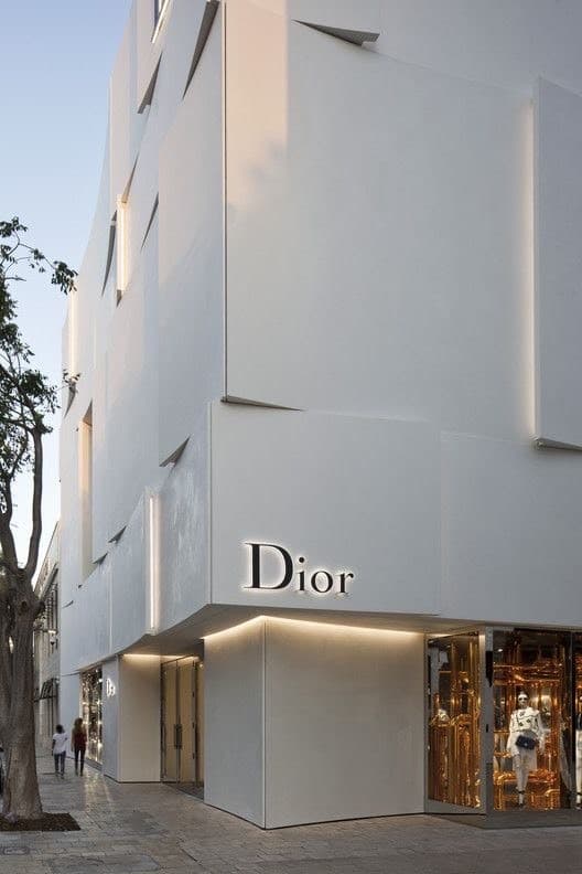 Moda Dior