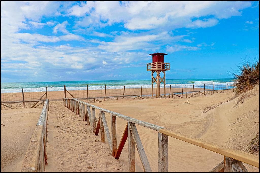 Place Playa de El Palmar