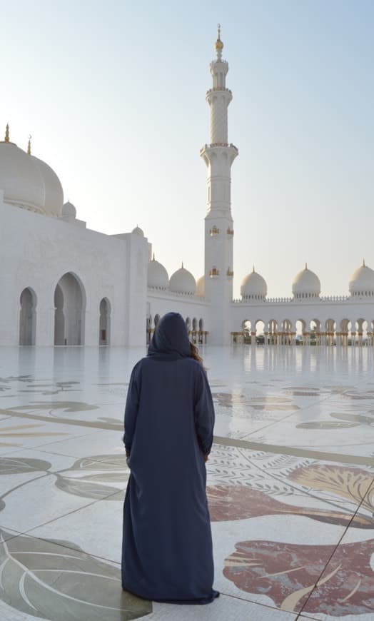 Place Sheikh Zayed Mosque