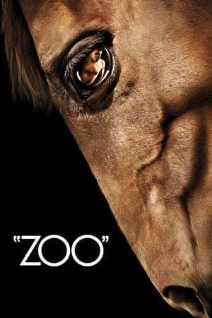 Movie Zoo