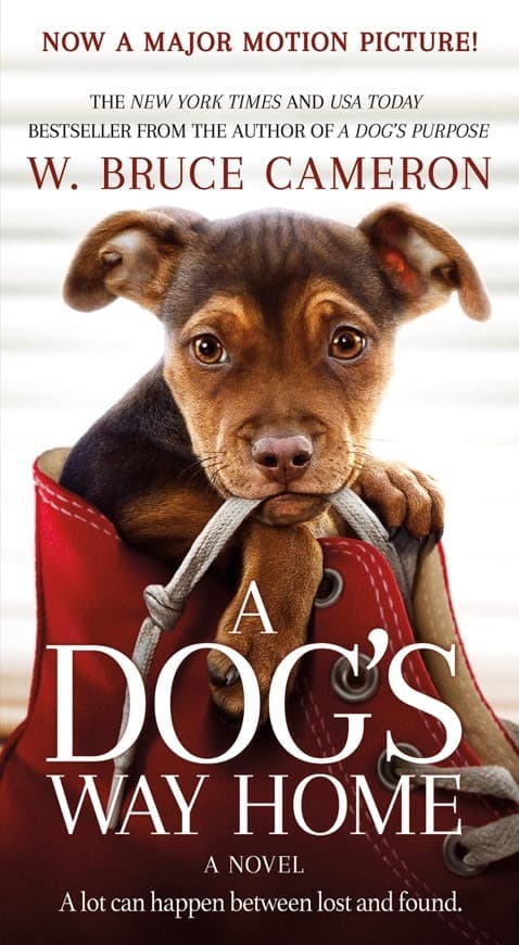 Movie A Dog's Way Home