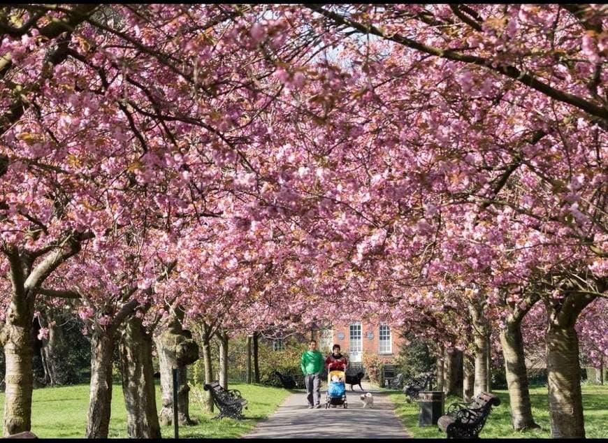 Place Greenwich Park