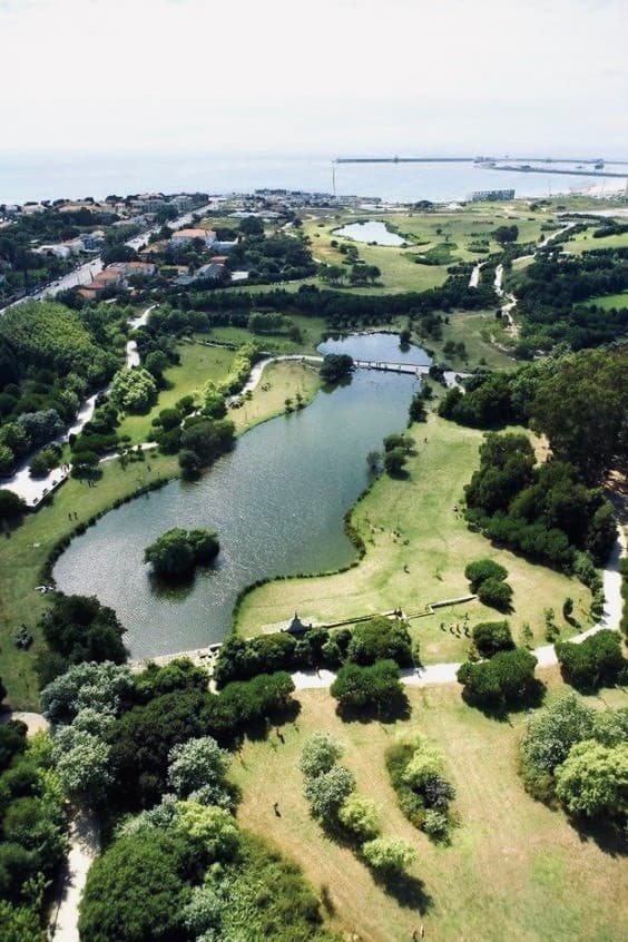 Lugar Parque da Cidade