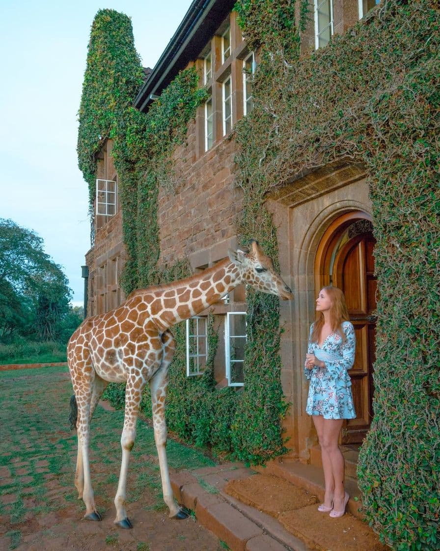 Place Giraffe Manor