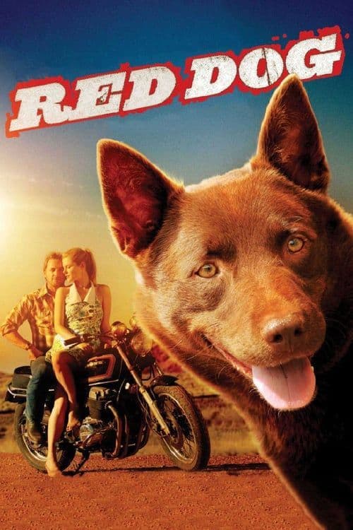 Película Red Dog