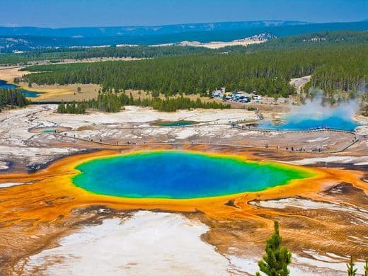 Place Parque Nacional Yellowstone