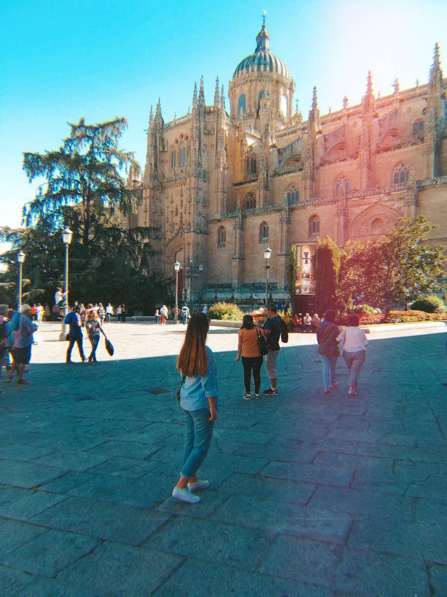 Lugar Catedral de Salamanca