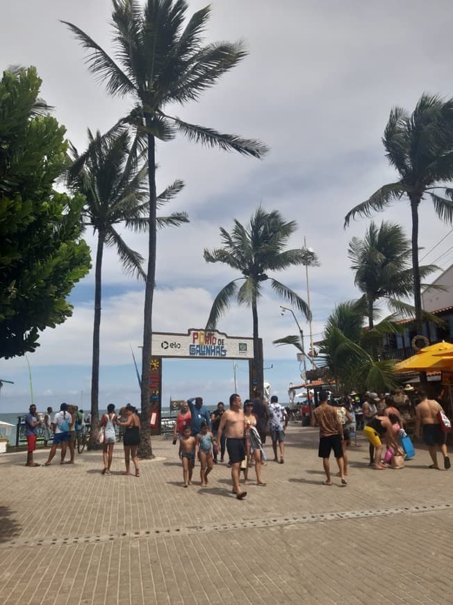 Place Porto de Galinhas