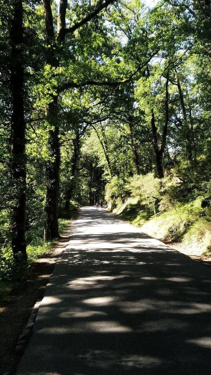 Place Peneda-Gerês National Park