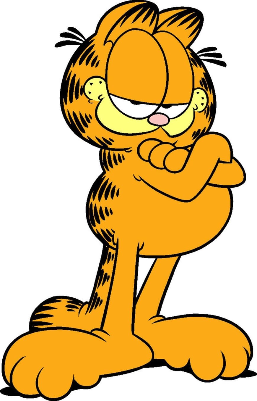 Serie Garfield and Friends