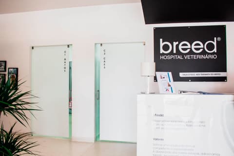 Lugar Breed - Hospital Veterinário Amarante