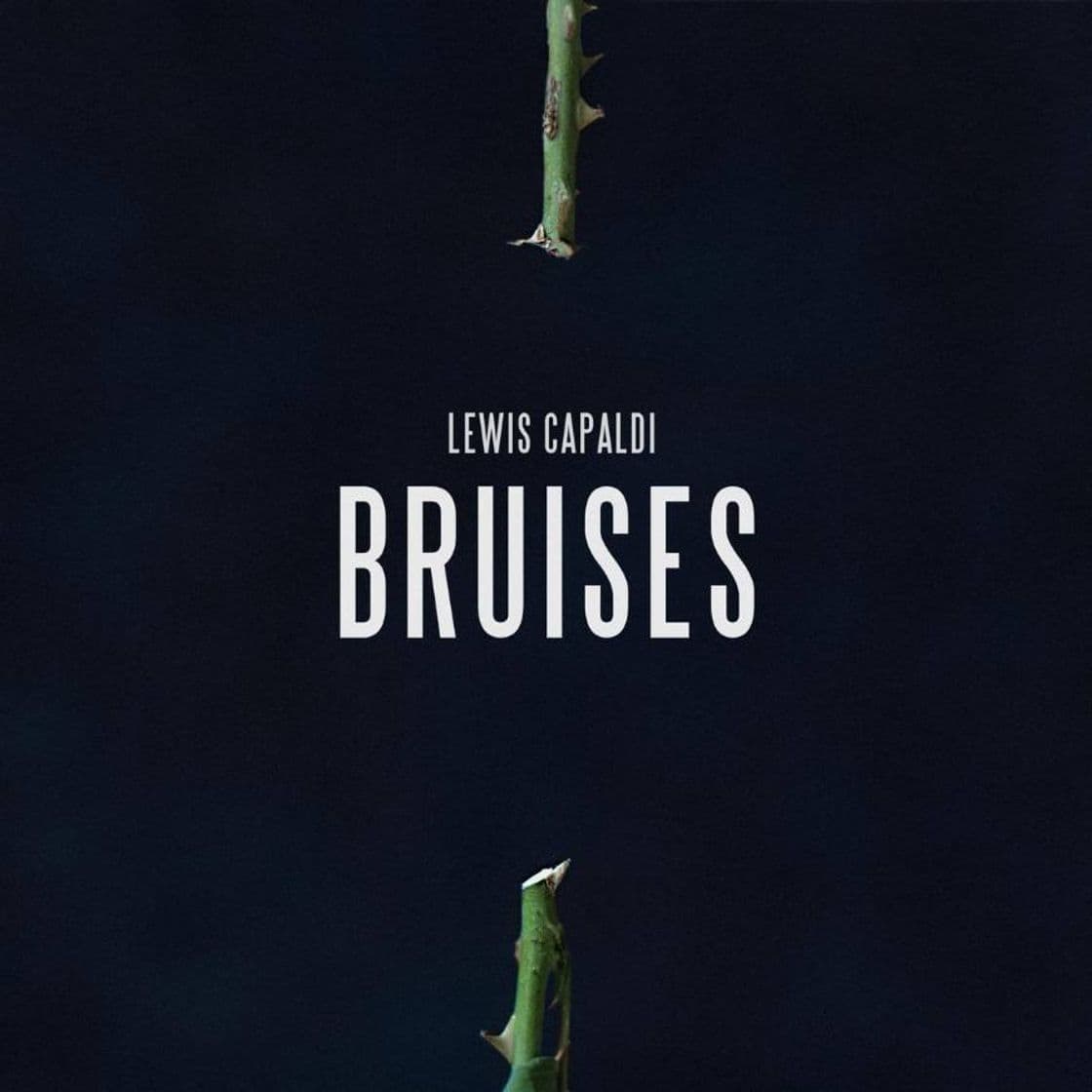 Music Lewis Capaldi - Bruises