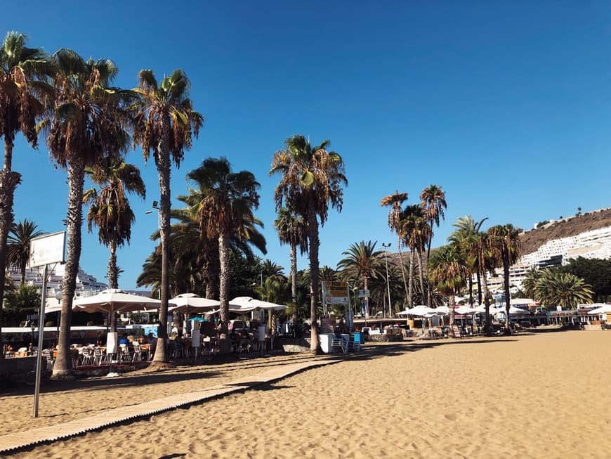 Lugar Puerto Rico de Gran Canaria