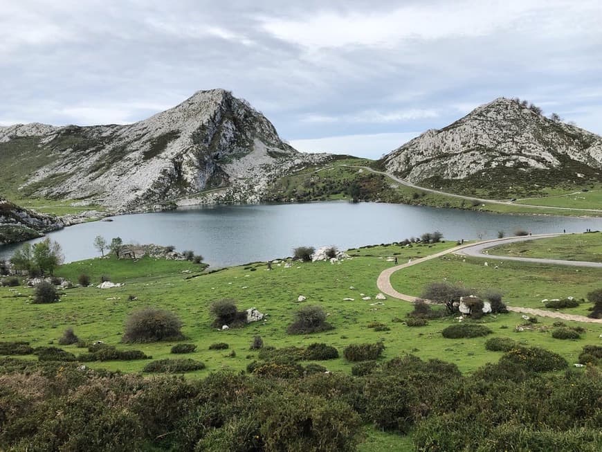 Lugar Picos de Europa National Park