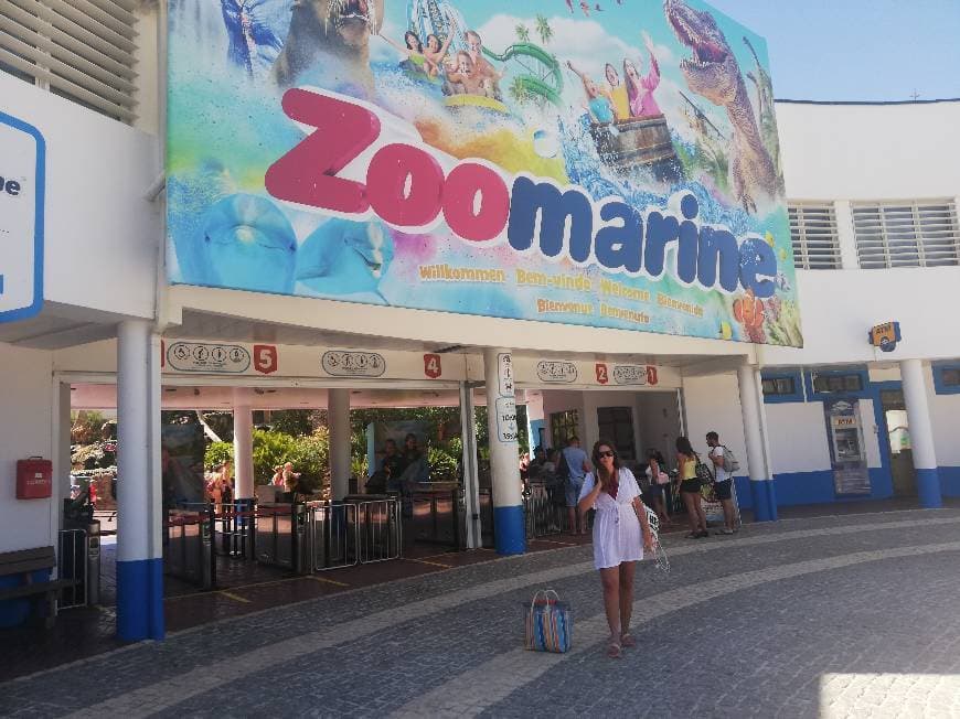 Lugar Zoomarine