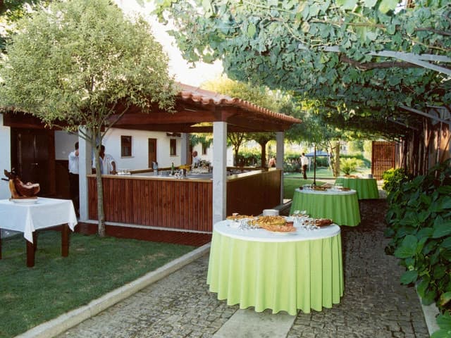 Restaurants Restaurante Camelo