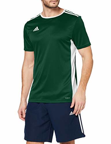 Fitness adidas Entrada 18 JSY Jersey de Fútbol de Manga Corta, Hombre, Verde