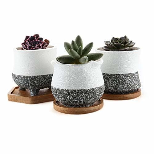 Product T4U Rachel's Choice Estilo Coreano Cerámico Ollas Suculentas Plantador de Cactus de