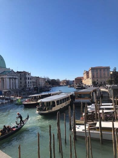 Place Venecia