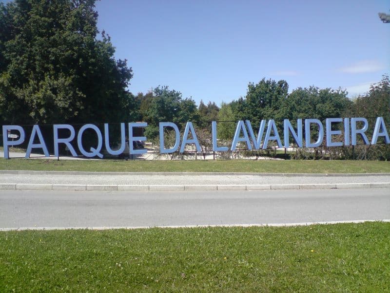 Place Municipal Lavandeira Park