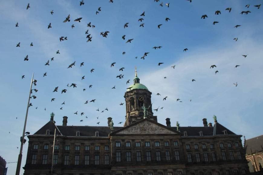 Lugar Praça Amsterdam