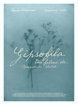 Película Gypsophila