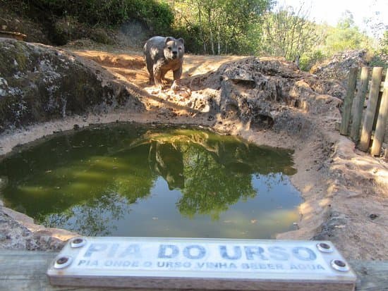 Lugar Sensory Ecopark of Pia do Urso