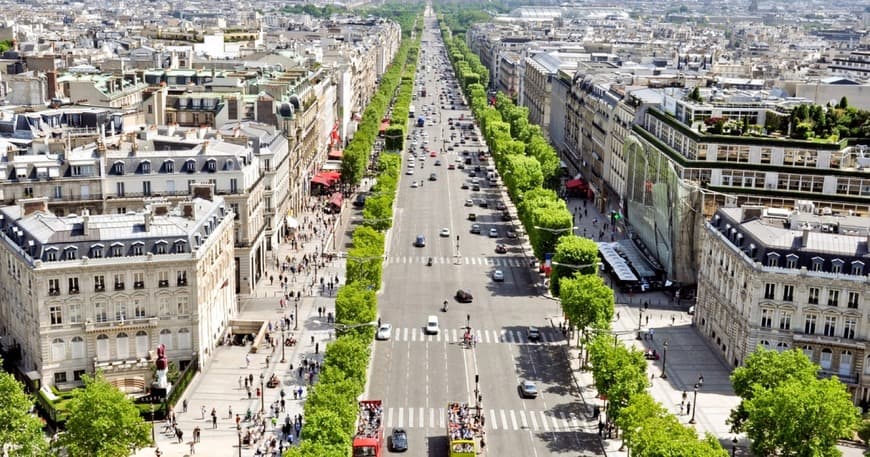 Place Champs Elysees